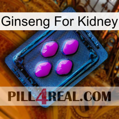 Ginseng For Kidney 04